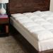 Alwyn Home Buckingham 2" Pillow Top Mattress Topper Polyester | 80 H x 39 W x 2 D in | Wayfair CA1BDD2B4F8F459B9CD046817CD5706B