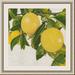 Gracie Oaks 'Bright Citrus IV' Framed Painting Print Paper in Green/Yellow | 23 H x 23 W x 0.88 D in | Wayfair A449925A86DA40ECAA5E7793A3FB4D72