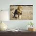 East Urban Home 'African Lion Male, Khutse Game Reserve, Botswana' Photographic Print on Wrapped Canvas Canvas | 16 H x 24 W x 1.5 D in | Wayfair