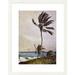 Highland Dunes 'Coastal Palm Tree Nassau' by Winslow Homer Framed Graphic Art Wood/Paper in Blue/Brown/Green | 30 H x 23.4 W x 1.5 D in | Wayfair