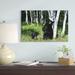 East Urban Home 'Black Bear Sow Scratching on Birch Tree w/ Cub Watching, North America' Photographic Print on Wrapped Canvas in Green | Wayfair