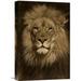East Urban Home 'African Lion Male Portrait, Native to Africa' Photographic Print on Wrapped Canvas Canvas | 18 H x 12 W in | Wayfair