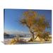 East Urban Home 'Fremont Cottonwood Tree Single Tree in Desert, White Sands National Monument | 30 H x 40 W x 1.5 D in | Wayfair