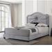 House of Hampton® Lockett Queen Standard Bed Wood & /Upholstered/Velvet in Brown/Gray | 56 H x 64 W x 86 D in | Wayfair