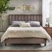 Everly Quinn Johniel Queen Low Profile Standard Bed Velvet, Wood in Brown | 50.7 H x 63 W x 78.7 D in | Wayfair 7E6EE0EE61794017A859F3C73803E0FE
