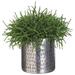 Dakota Fields Pencil Cactus Succulent in Planter Plastic/Metal | 9.5 H x 11.5 W x 10 D in | Wayfair 0C5C0CC7DCFE45388FD4946A98689740