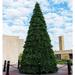 Vickerman 625804 - 12' x 105" Artificial Grand Teton Frame Tree 3450 Warm White Lights Christmas Tree (G194212WW)