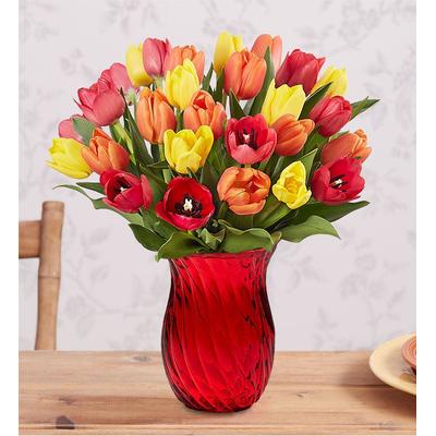 1-800-Flowers Seasonal Gift Delivery Our Favorite Fall Tulips 30 Stems W/ Red Vase