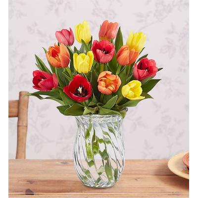 1-800-Flowers Seasonal Gift Delivery Assorted Fall Tulips 15 Stems W/ Clear Vase | Best Quality Guaranteed