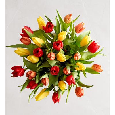 1-800-Flowers Seasonal Gift Delivery Our Favorite Fall Tulips + Free Vase 30 Stems, Bouquet Only