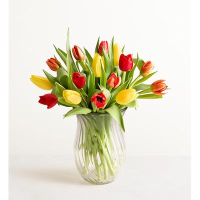 1-800-Flowers Seasonal Gift Delivery Our Favorite Fall Tulips + Free Vase 15 Stems W/ Free Clear Vase