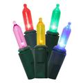 Brite Star 39140 - 50 Light 4.8 watt 17' Green Wire Multi-Color LED Light Christmas Light String Set