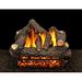 American Gas Log Cheyenne Glow Vented Propane/Natural Gas Fireplace Log Set in White | 20 H x 42 W x 14 D in | Wayfair CG-30-PSS202RR-S-DBL