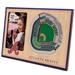 Brown Atlanta Braves 3D StadiumViews Picture Frame