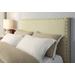 Tavel King-size Nailhead Headboard in Tumbleweed - Modus 3ZS1L7BH12