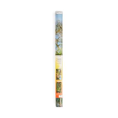 Imagitarium 10 Gallon Double-Sided Terrarium Background, Small