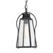 Minka Lavery Halder Bridge 17 Inch Tall Outdoor Hanging Lantern - 72704-66A