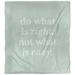 East Urban Home Do What Is Right Quote Single Duvet Cover Microfiber in Green/White | King Duvet Cover | Wayfair 84EAC3C42C694A3EBC9FB3121D8FC792