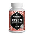 Eisen 20 mg+Histidin+Vitamine C/B9/B12 Kapseln 90 St