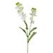 Gracie Oaks 33" Canola Flower Stem - White Plastic/Fabric | 32.3 H x 6.7 W x 3.5 D in | Wayfair 65FAE8CF3D624CC2B759640216E25744