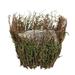 Gracie Oaks Cutler 6 - Piece Wood Pot Planter Set Wood in Brown | 8 H x 7 W x 7 D in | Wayfair 47FA40E9F1364E7CA3E3158E71387B8E