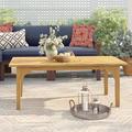 Birch Lane™ Summerton Teak Outdoor Coffee Table Wood in Brown/White | 18.25 H x 48 W x 25 D in | Wayfair CM58388U