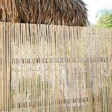 Backyard X-Scapes 6 ft H x 16 ft W Natural Split Bamboo Fencing Decorative Fence Panel Bamboo & Reed in Brown | 72 H x 192 W x 3 D in | Wayfair