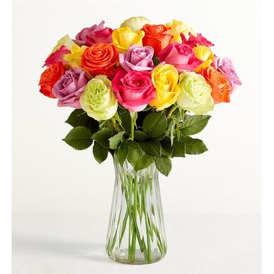 1-800-Flowers Flower Delivery Two Dozen Assorted Roses W/ Clear Vase | The Trusted Name In Flowers | Happiness Delivered To Their Door