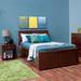 Edmonson Full Solid Wood Platform Bed w/ Trundle by Harriet Bee kids Wood in Brown/Green/Red | 42.8 H x 56.3 W x 82.3 D in | Wayfair 5149VN