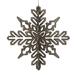 The Holiday Aisle® 3D Snowflake Ornament Plastic in Green | 6 H x 6 W x 6 D in | Wayfair 2C01915E643745A2812B3145C5138E6B