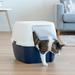 Tucker Murphy Pet™ Shattuck Standard Litter Box Plastic in Blue | 17 H x 18.75 W x 21 D in | Wayfair 943B0BB7D4DE4019A2EE73230B650C3E