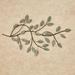 Family Tree Branch Wall Art Sage , Sage