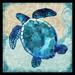 Highland Dunes 'Ocean Sea Turtle - Colorful Blue Green Coastal Nautical Sea Life' Picture Frame Paper in Blue/Green | 24 H x 24 W x 1 D in | Wayfair