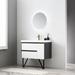 Brayden Studio® Courtnie Waterproof Ergonomic 36" Single Bathroom Vanity Set w/ Mirror Plastic | 21.81 H x 35.88 W x 18.12 D in | Wayfair