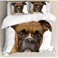 ABAKUHAUS Boxer Dog Duvet Cover Set, Purebred Dog Front View, Bedding Set 3 Pieces with 2 Pillow Shams, 200 x 200 cm - 70 x 50 cm, Pale Brown Dark Brown