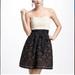 Anthropologie Dresses | Anthropologie Meadow Rue Strapless Dress | Color: Black/Cream | Size: 8