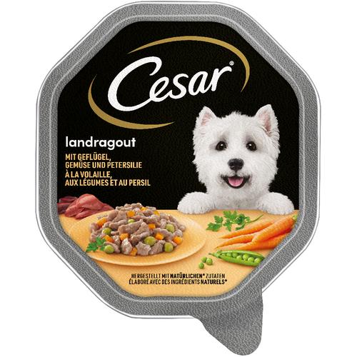 28 x 150g Schale Geflügel & Gemüse in Sauce Cesar Hundefutter nass