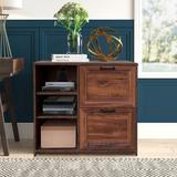 Hitchin 2-Drawer Lateral Filing Cabinet Wood in Brown Laurel Foundry Modern Farmhouse® | 29.5 H x 31.5 W x 15.5 D in | Wayfair
