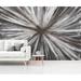 Casa Fine Arts Burst Wall Mural Fabric in Gray | 96" W x 144" L | Wayfair 16059-01