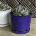 Campania International I/O Series 6-Piece Glazed Terra Cotta Pot Planter Set Clay & Terracotta in Gray | 4.25 H x 5.25 W x 5.25 D in | Wayfair