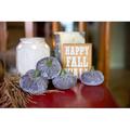 The Twillery Co.® Byrne Boxed Velvet Pumpkin Decorative Accent Resin in Gray | 2.75 H x 8.25 W x 5.63 D in | Wayfair