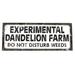 Treasure Gurus Metal Garden Sign - Warning Experimental Dandelion Farm: Do Not Disturb Weeds Metal in Black | 7 H x 16 W x 0.25 D in | Wayfair