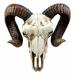 World Menagerie Bighorn Ram Skull Hanging Wild Beast Trophy Wall Décor in Brown | 11.25 H x 11.25 W x 4.5 D in | Wayfair