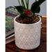 World Menagerie Muge Ceramic Pot Planter Ceramic | 5.5 H x 5.5 W x 5.5 D in | Wayfair 57D8E6C1E27A42E7B2BED9AA99B8908D