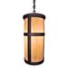 Loon Peak® Bayview 1-Light Outdoor Pendant Glass/Metal | 14.75 H x 6.75 W x 6.75 D in | Wayfair 2BEFAD12C49549388790F4B16FE14087