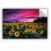 East Urban Home Sunflower Sunset Removable Wall Decal Vinyl in Green/Pink | 8 H x 12 W in | Wayfair 0yor173a0812p