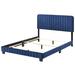 House of Hampton® Cushman Low Profile Standard Bed Upholstered/Polyester in Blue | 48 H x 65 W x 81 D in | Wayfair A784ACD48E264DDF9BC722E591590916
