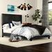 Andover Mills™ Derek Low Profile Standard Bed Upholstered/Faux leather in Black | 50 H x 43.1 W x 81.5 D in | Wayfair