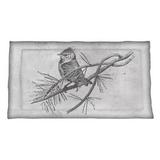 Winston Porter Enrik Vintage Bird Sham Polyester | 23 H x 39 W x 1 D in | Wayfair FED2217E356D42CEB8BF64819AFDA23A