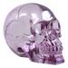 World Menagerie Jetter Pirate Cave Tomb Treasure Translucent Skull Figurine Resin in Pink | 4.5 H x 6.25 W x 4 D in | Wayfair